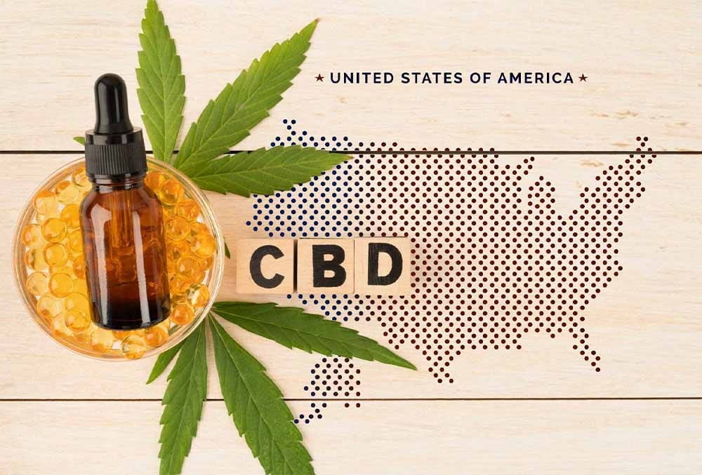 CBD Payment Processing